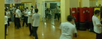 Stage di Wing Chun con Master Salvatore Mezzone